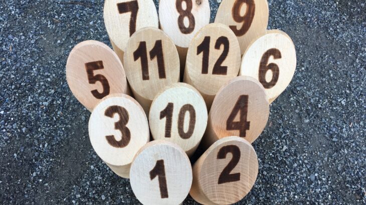 健康推進部長への道 6回 「モルック」